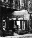 Cotton Club (1).jpg (152923 bytes)