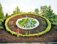 KI Floral Clock 2.jpg (455088 bytes)