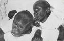 Baby Gorillas 4.jpg (114004 bytes)