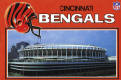 Bengals-2.jpg (136852 bytes)